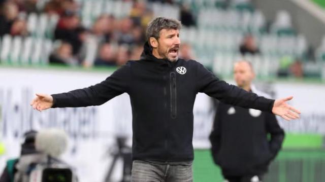 报价收购马 报价收购马